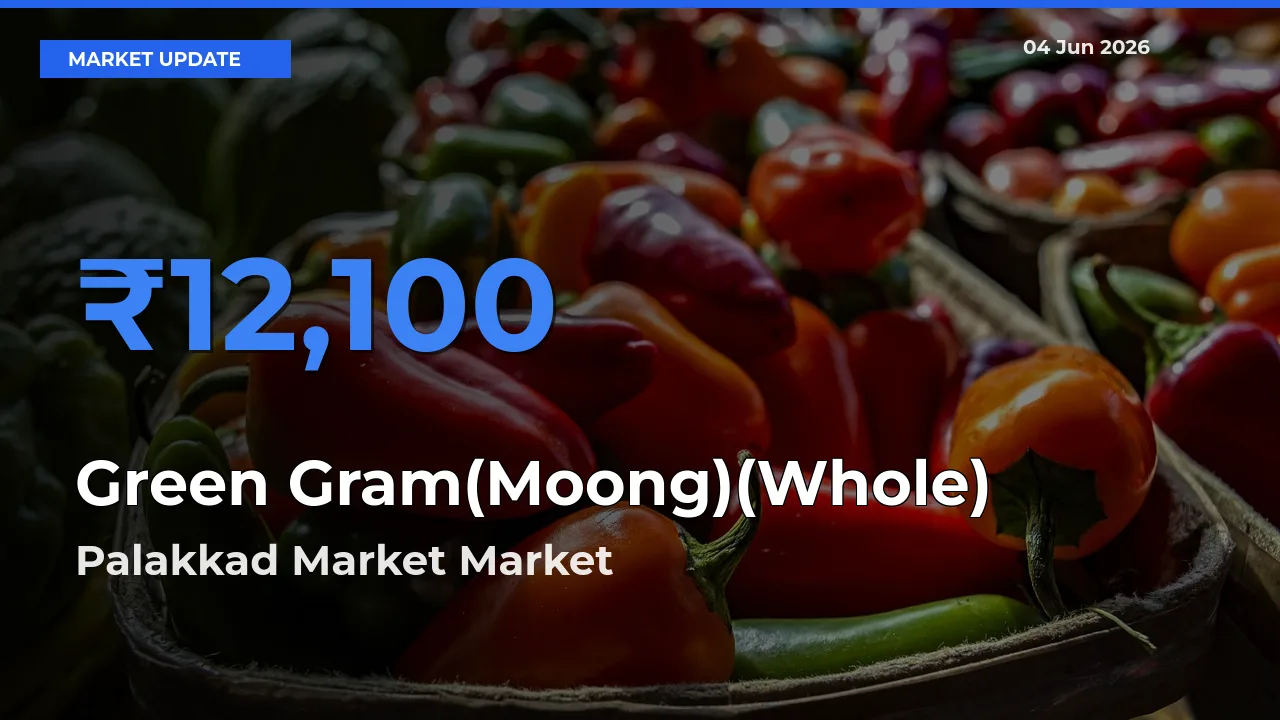 Palakkad Market Tops Green Gram(Moong)(Whole) Rates – June 04 Market Update