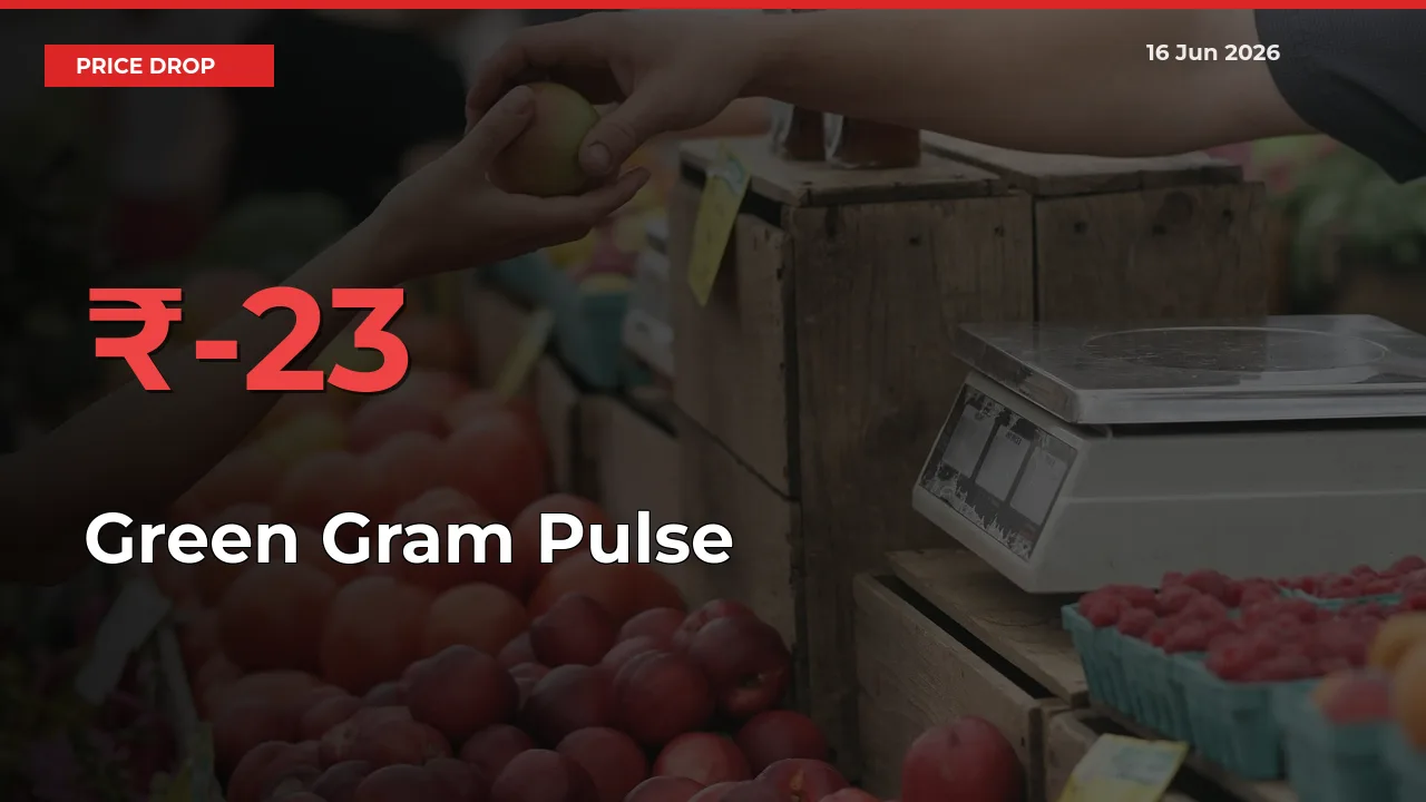 Sharp Fall! Green Gram Pulse Prices Plunge 22.78% in a Day at Key Mandis