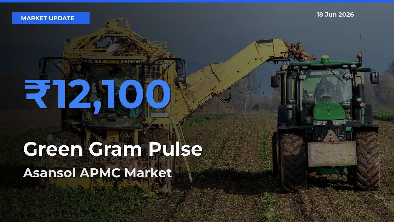 Market Watch: Asansol APMC Becomes Top Mandi for Green Gram Pulse