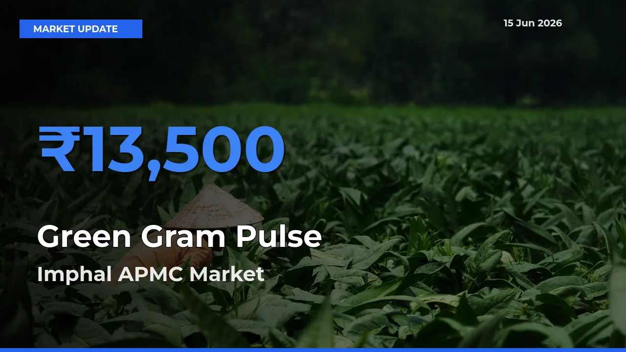 Imphal APMC Tops Green Gram Pulse Mandi Rates Today