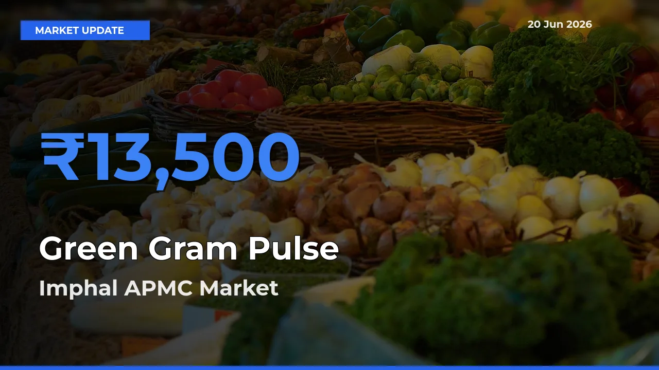 Top Performer! Imphal APMC Offers Best Green Gram Pulse Price Today