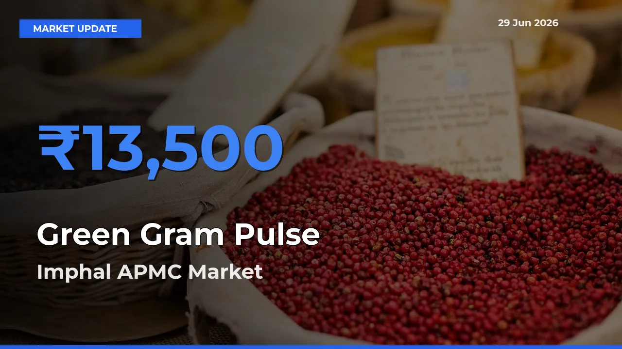 Imphal APMC Emerges as Top Mandi for Green Gram Pulse Prices Today