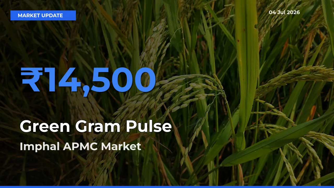 Imphal APMC Emerges as Top Mandi for Green Gram Pulse Prices Today