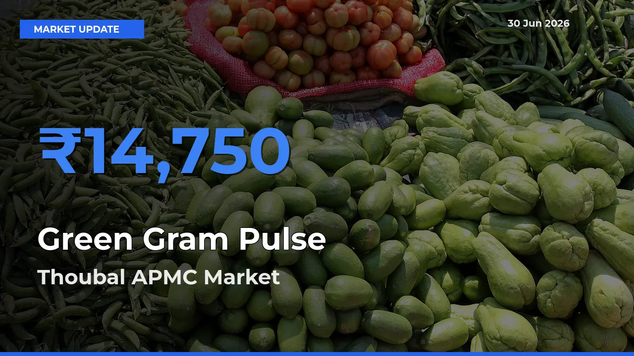 Green Gram Pulse Mandi Rate Today: Thoubal APMC Tops the List