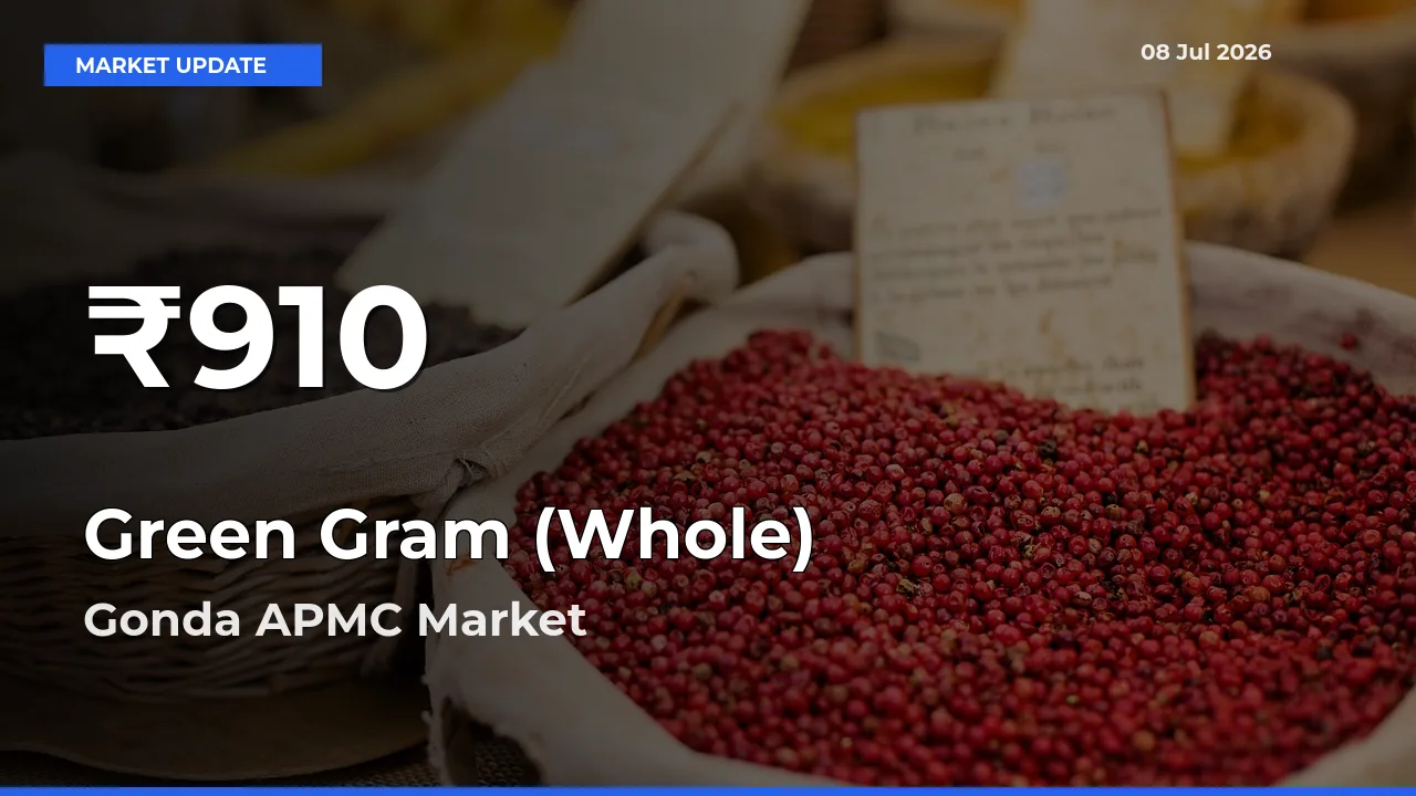 Farmers Concerned as Green Gram (Whole) Hits 30-Day Low in Gonda APMC