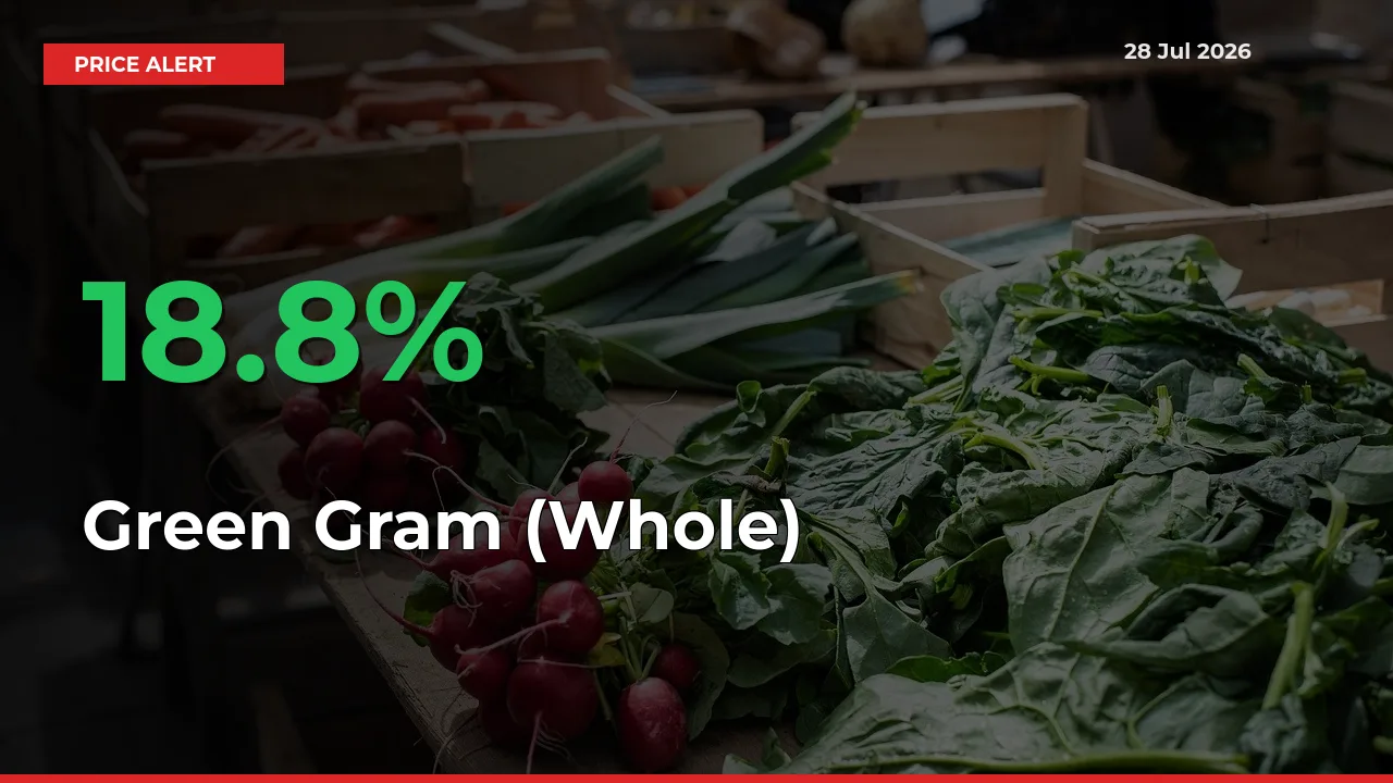 Sudden 18.8% Rally in Green Gram (Whole) Prices Across Mandis