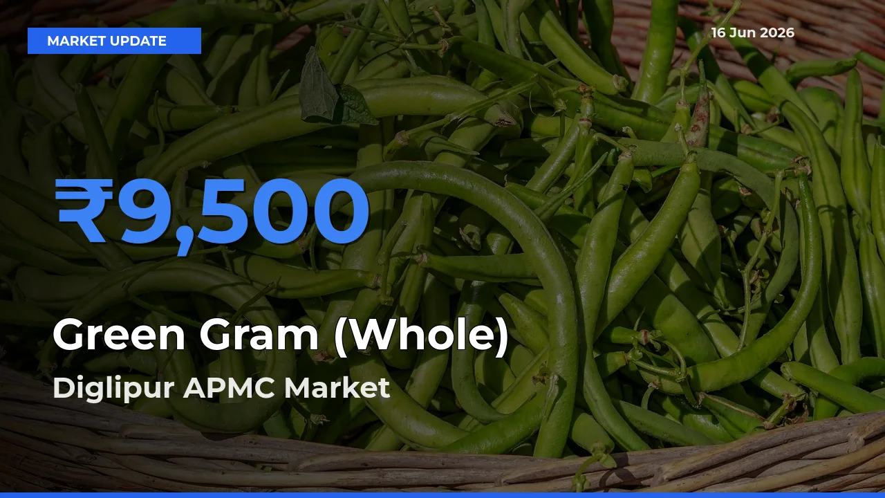 Market Watch: Diglipur APMC Becomes Top Mandi for Green Gram (Whole)