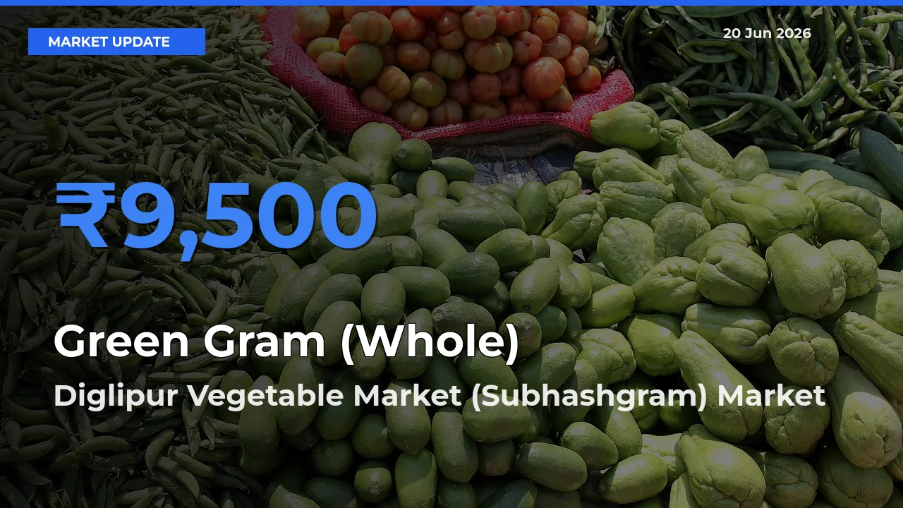Market Watch: Diglipur Vegetable Market (Subhashgram) Becomes Top Mandi for Green Gram (Whole)