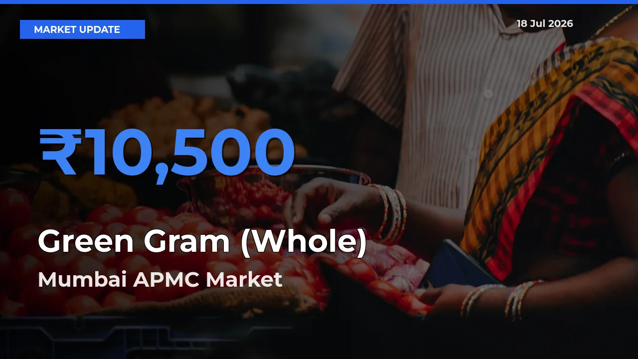 Mumbai APMC Records Highest ₹10,500 Rate for Green Gram (Whole)