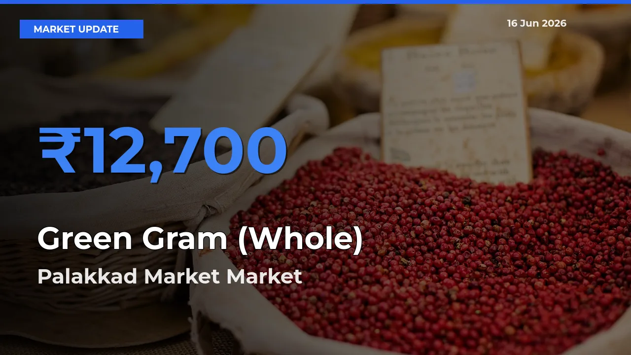 Palakkad Market Emerges as Top Mandi for Green Gram (Whole) Prices Today
