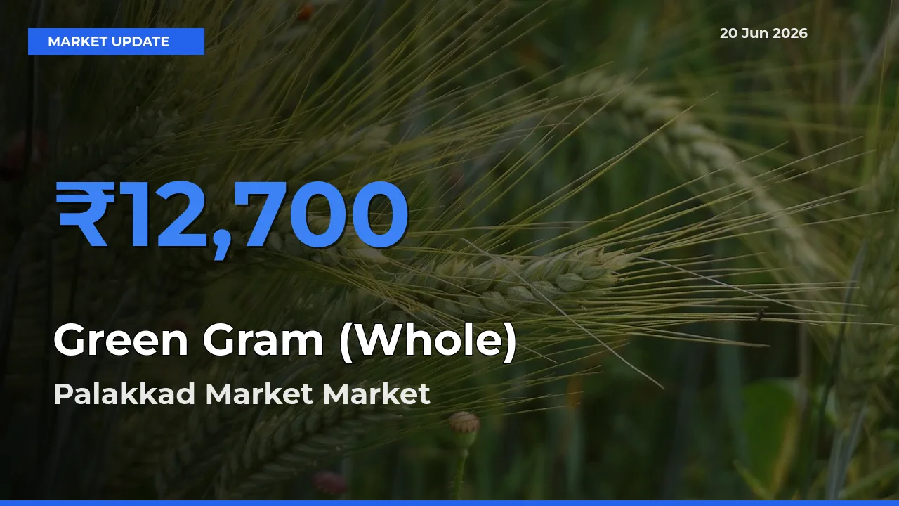Green Gram (Whole) Mandi Rate Today: Palakkad Market Tops the List