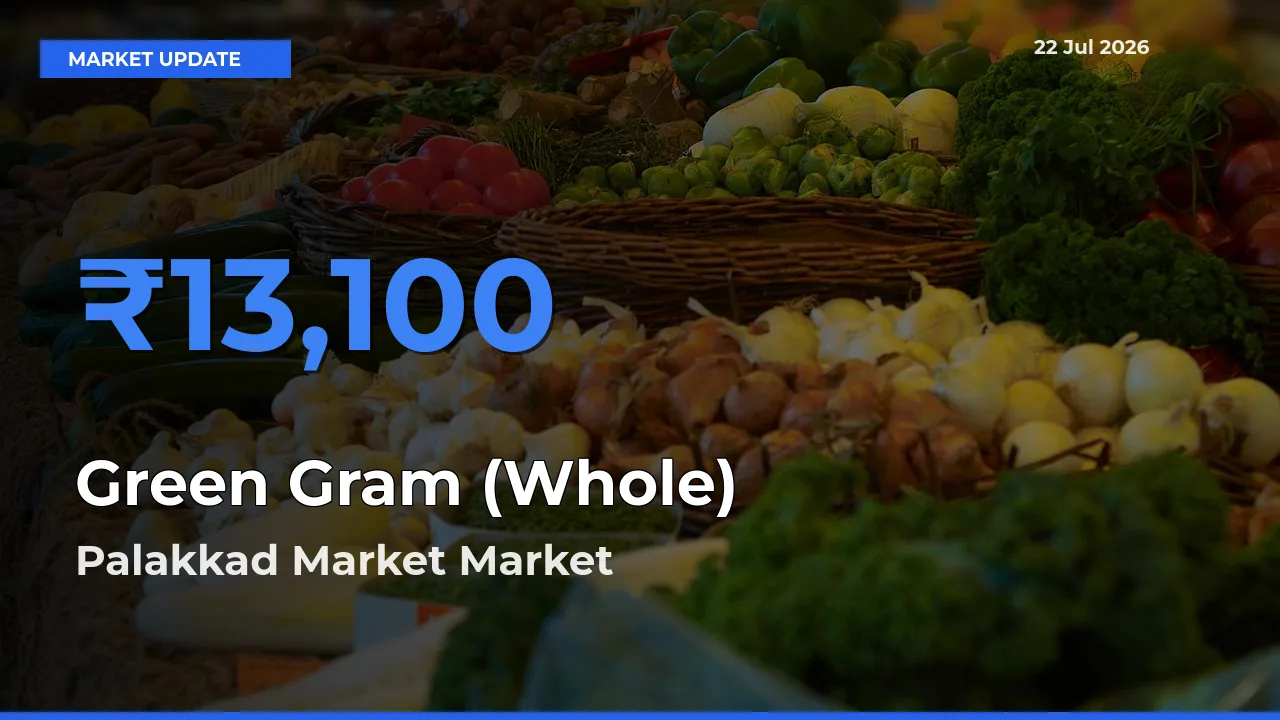 Palakkad Market Records Highest ₹13,100 Rate for Green Gram (Whole)