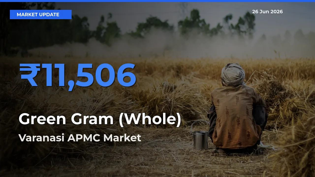 Varanasi APMC Emerges as Top Mandi for Green Gram (Whole) Prices Today