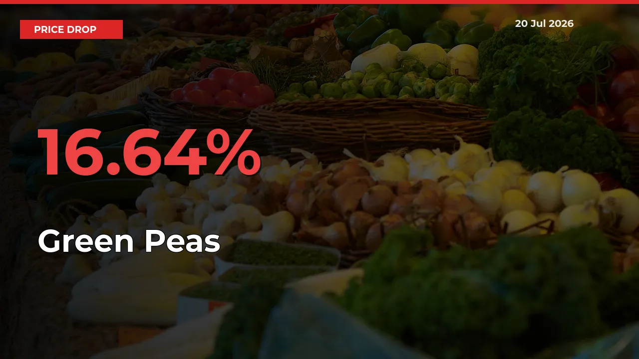 Sudden Shock! Green Peas Drops 16.64% in 24 Hours at Top Mandis