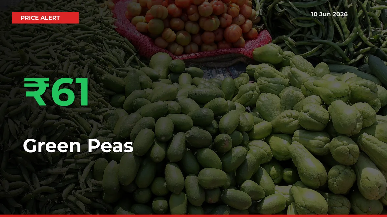 Green Peas Prices Rise 60.61% in a Day at Major Mandis