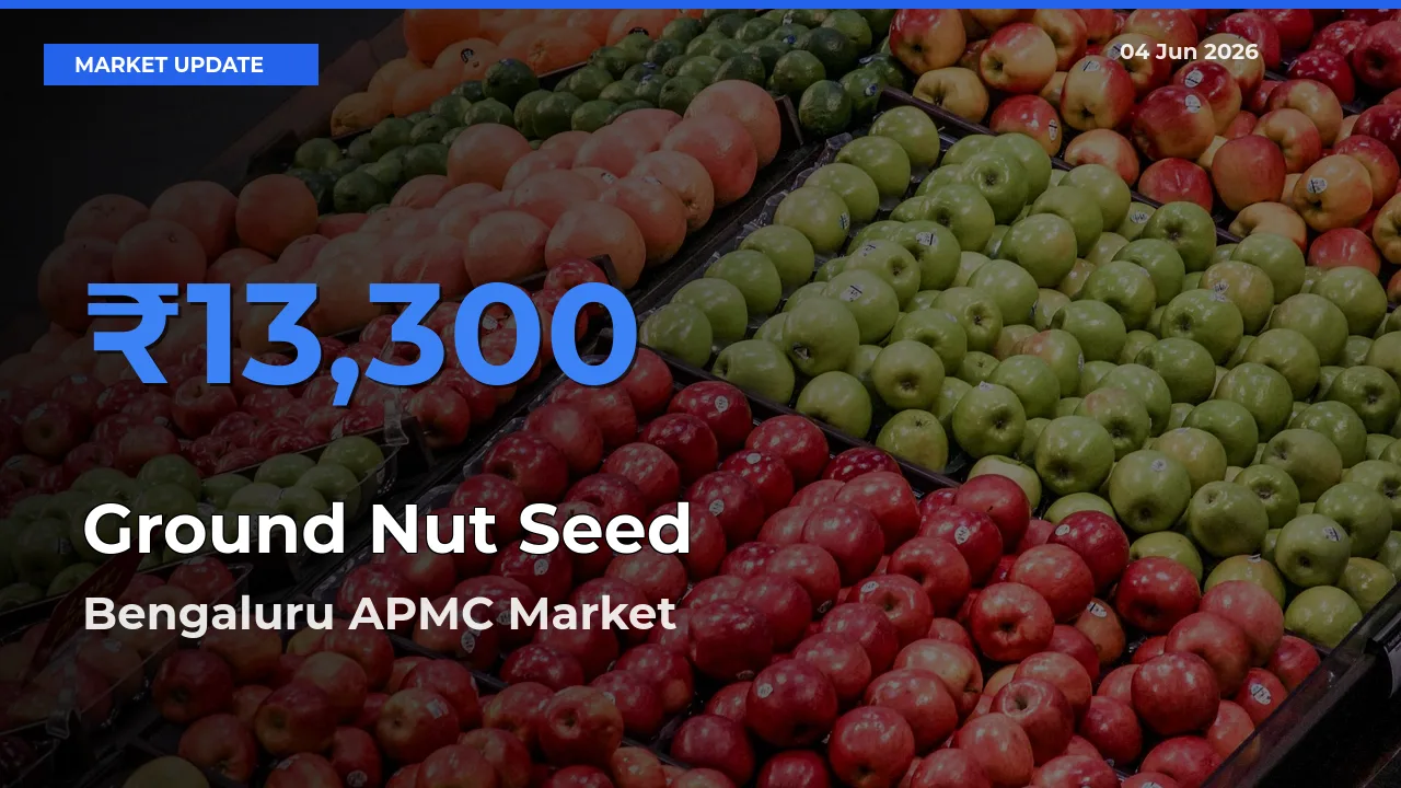 Bengaluru APMC Records Highest ₹13,300 Rate for Ground Nut Seed