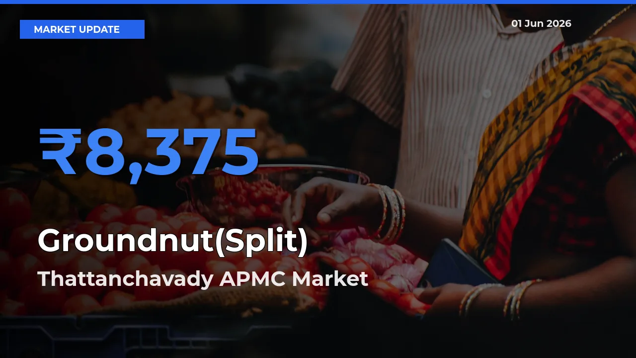 Farmers Prefer Thattanchavady APMC as Groundnut(Split) Hits Highest Rate