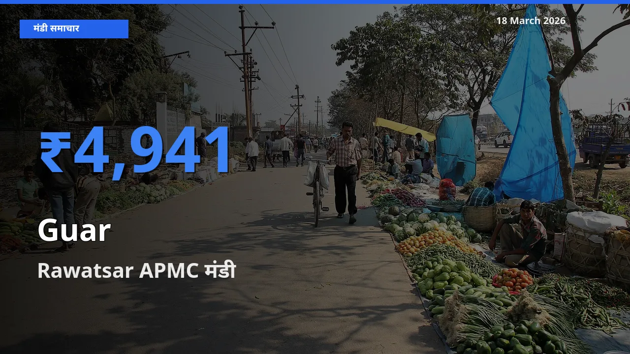 किसानों की पसंद बना Rawatsar APMC, ग्वार के सबसे अच्छे दाम