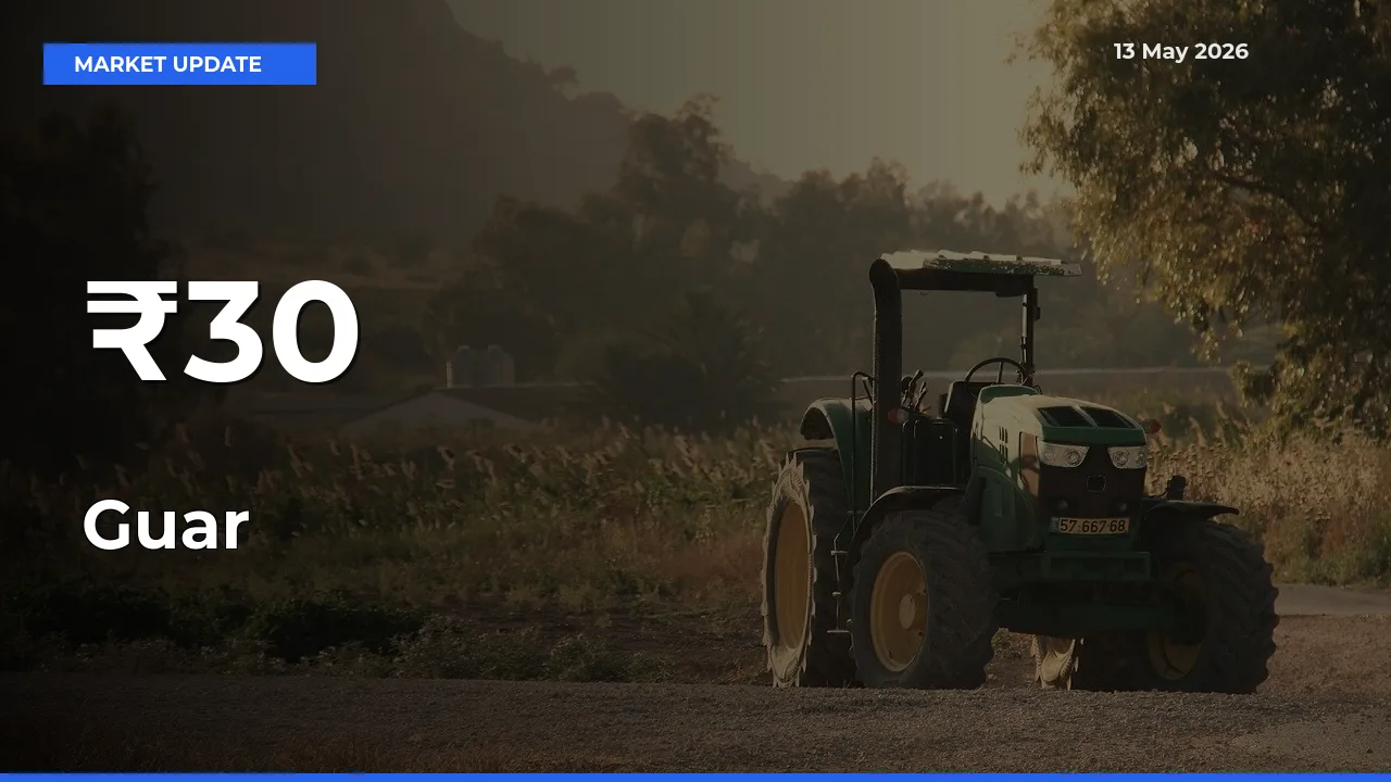 Guar Prices Gain Momentum Across 30+ Mandis – Market Trend Strengthens