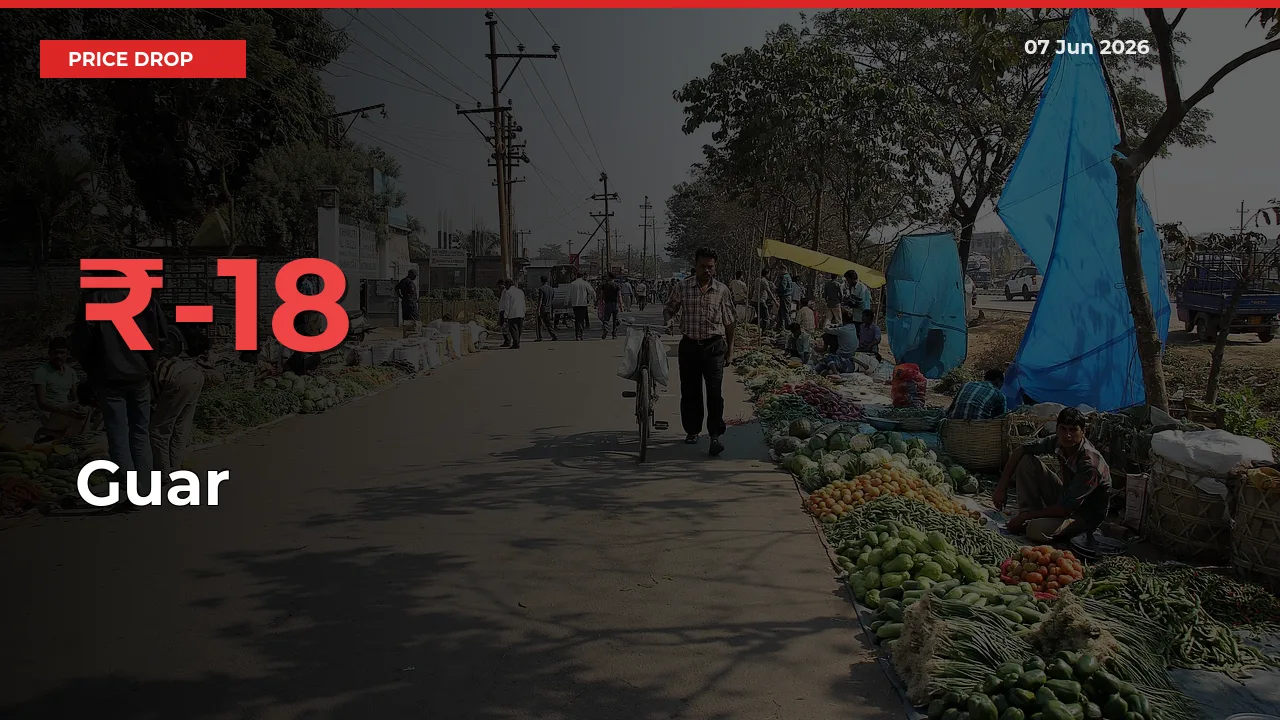Guar Mandi Rate Today: Prices Fall 18.43% at Market