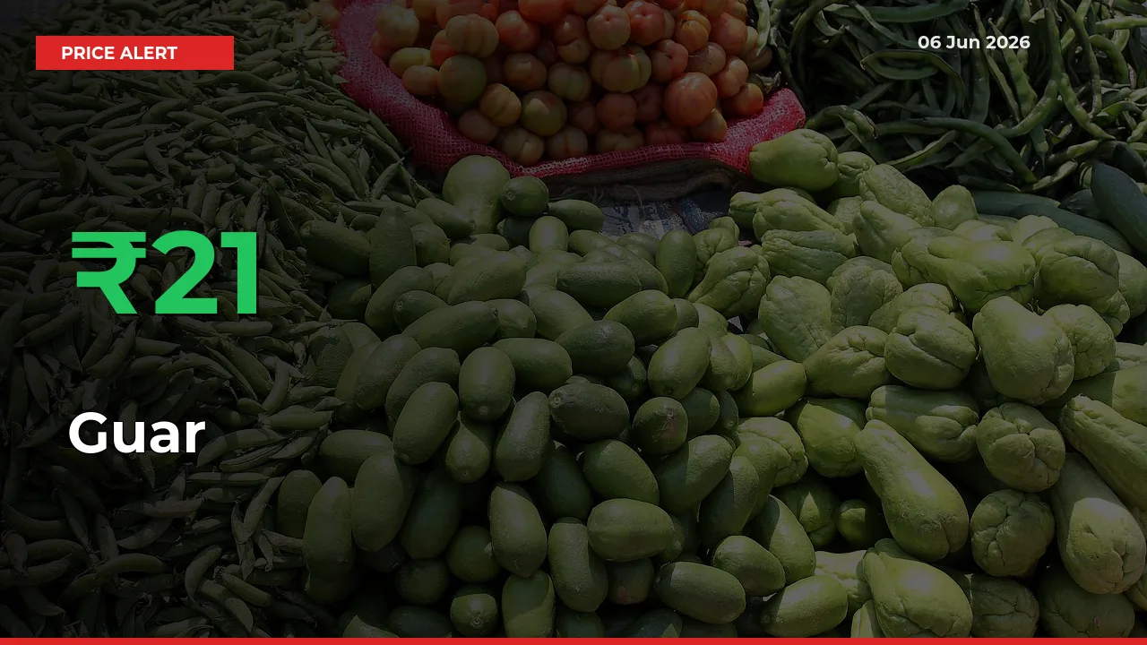 Sharp Jump! Guar Prices Climb 21.19% in 24 Hours at Key Mandis