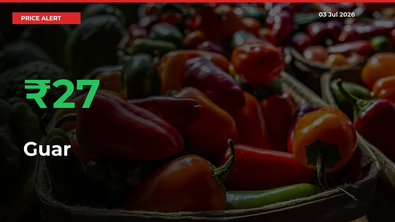 This Mandi Records 26.96% Jump in Guar Prices