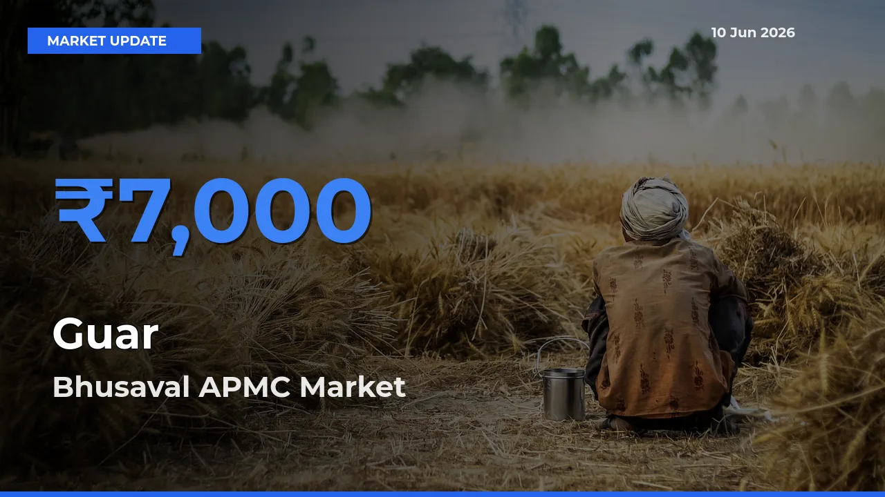 Bhusaval APMC Records Highest ₹7,000 Rate for Guar