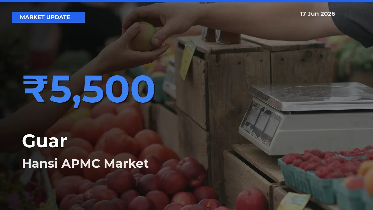 Hansi APMC Records Highest ₹5,500 Rate for Guar
