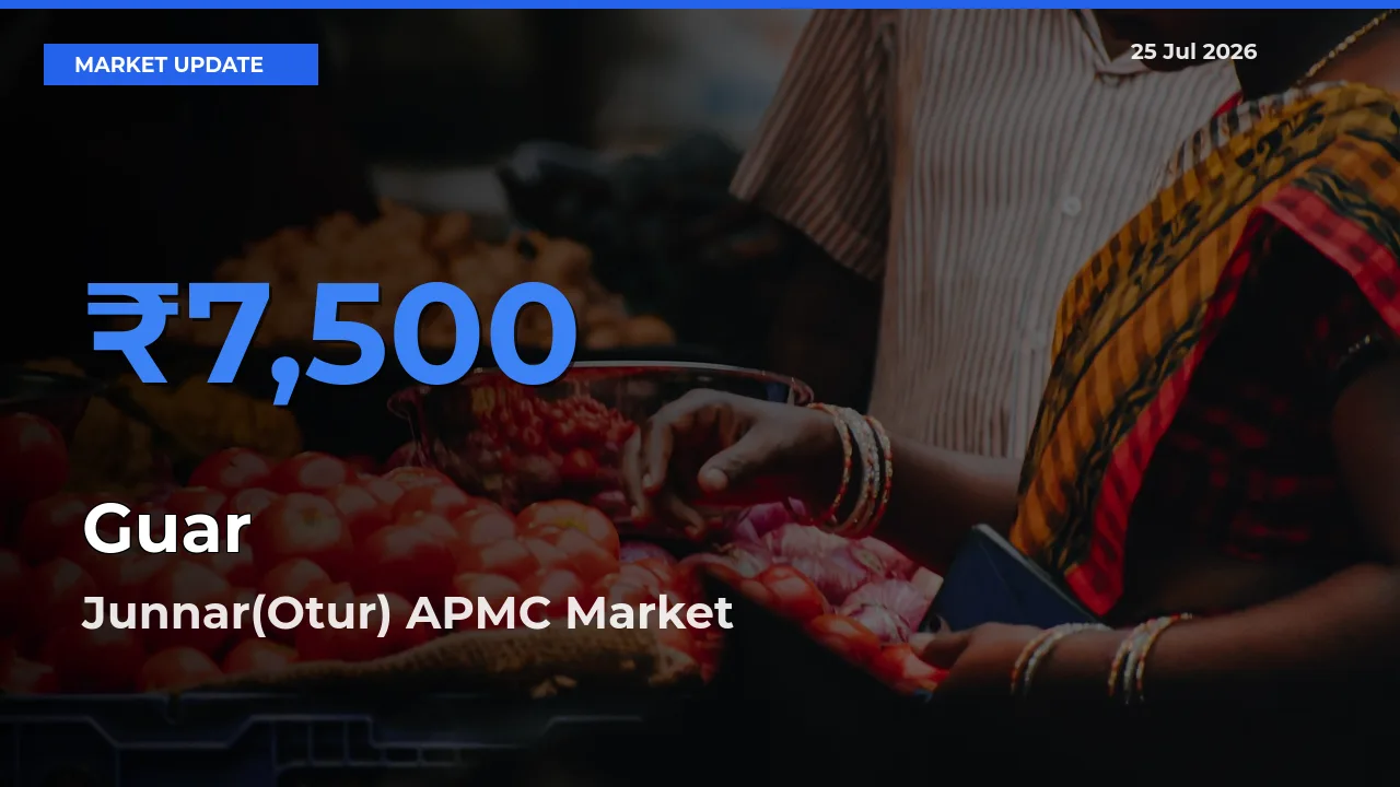 Junnar(Otur) APMC Tops Guar Mandi Rates Today