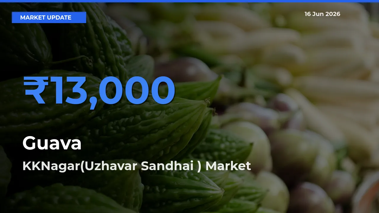 Market Watch: KKNagar(Uzhavar Sandhai ) Becomes Top Mandi for Guava