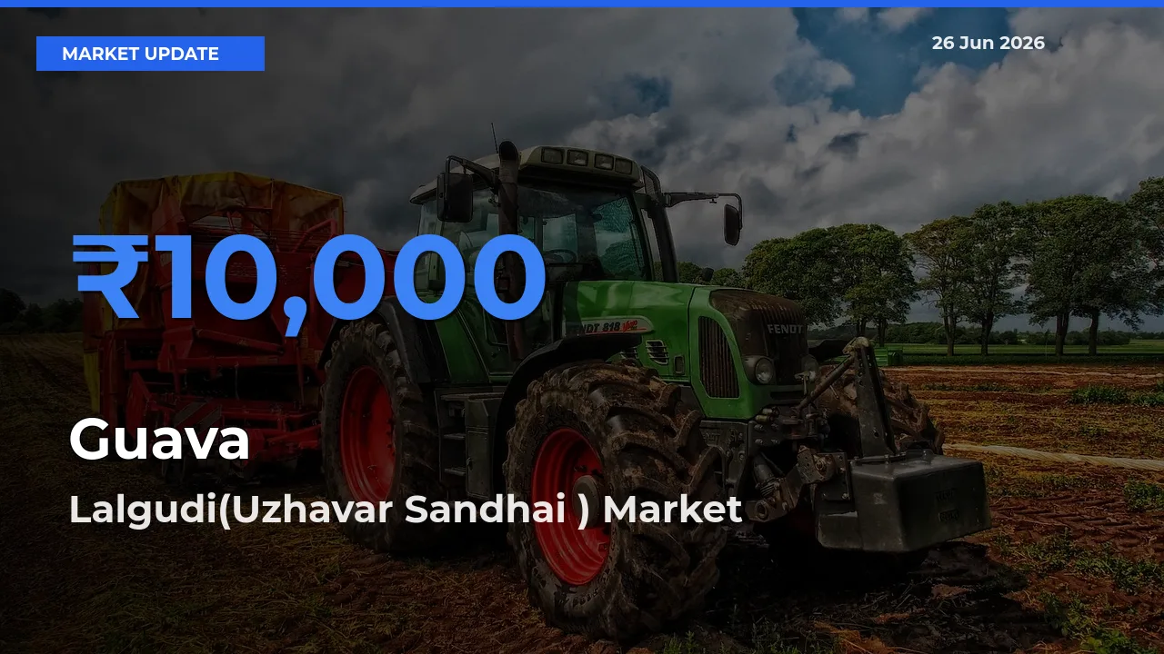 Lalgudi(Uzhavar Sandhai ) Tops Guava Mandi Rates Today