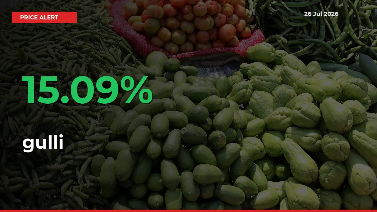 Sudden 15.09% Rally in gulli Prices Across Mandis