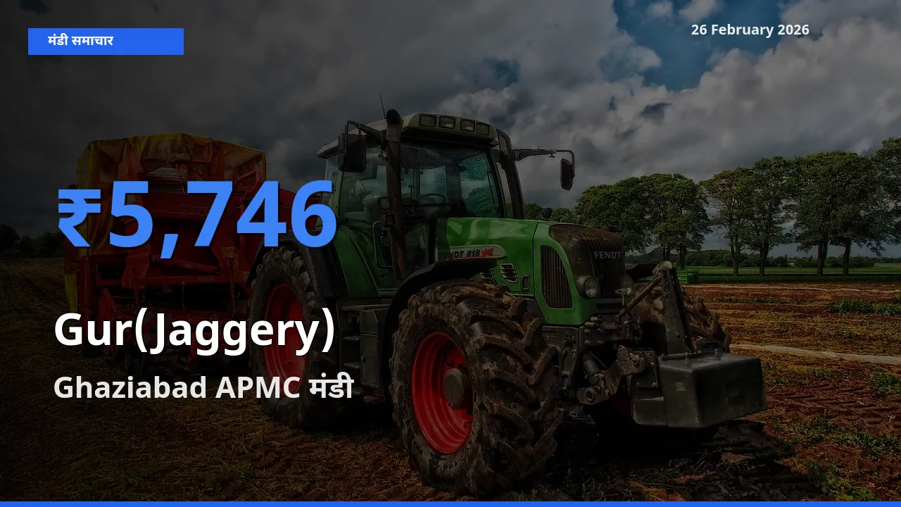 26 February अपडेट: Gur(Jaggery) के सबसे ऊँचे दाम Ghaziabad APMC मंडी में