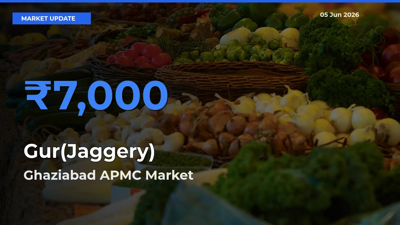Ghaziabad APMC Tops Gur(Jaggery) Mandi Rates Today