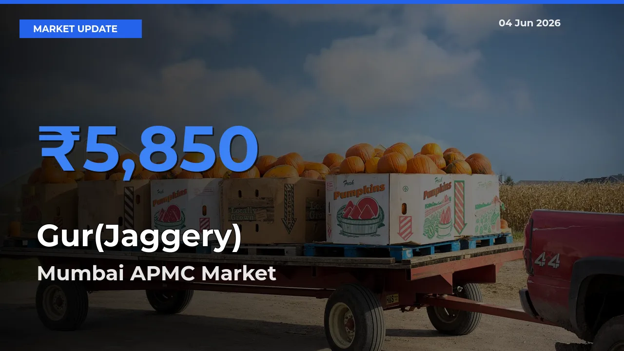 Mumbai APMC Emerges as Top Mandi for Gur(Jaggery) Prices Today