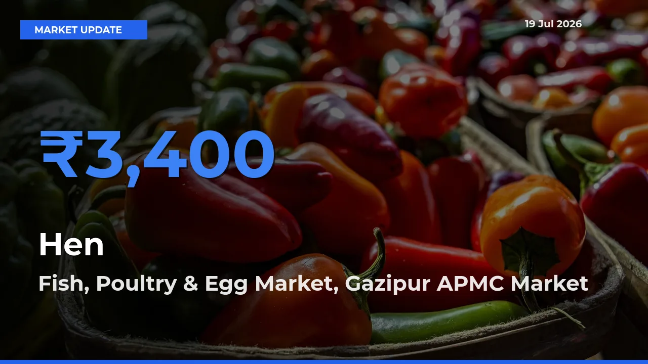 Fish, Poultry & Egg Market, Gazipur APMC Tops Hen Rates – July 19 Market Update