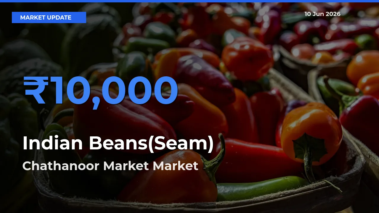 Chathanoor Market Offers ₹10,000 – Highest Indian Beans(Seam) Rate Today