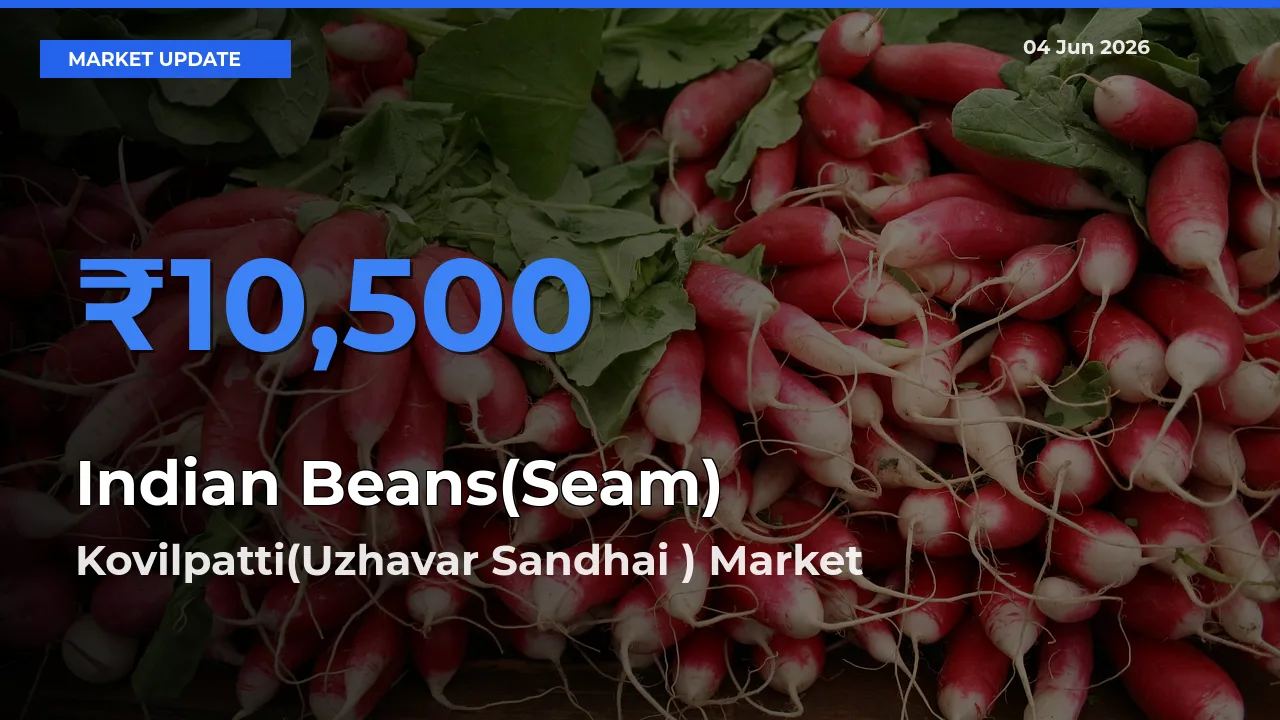 Indian Beans(Seam) Mandi Rate Today: Kovilpatti(Uzhavar Sandhai ) Tops the List