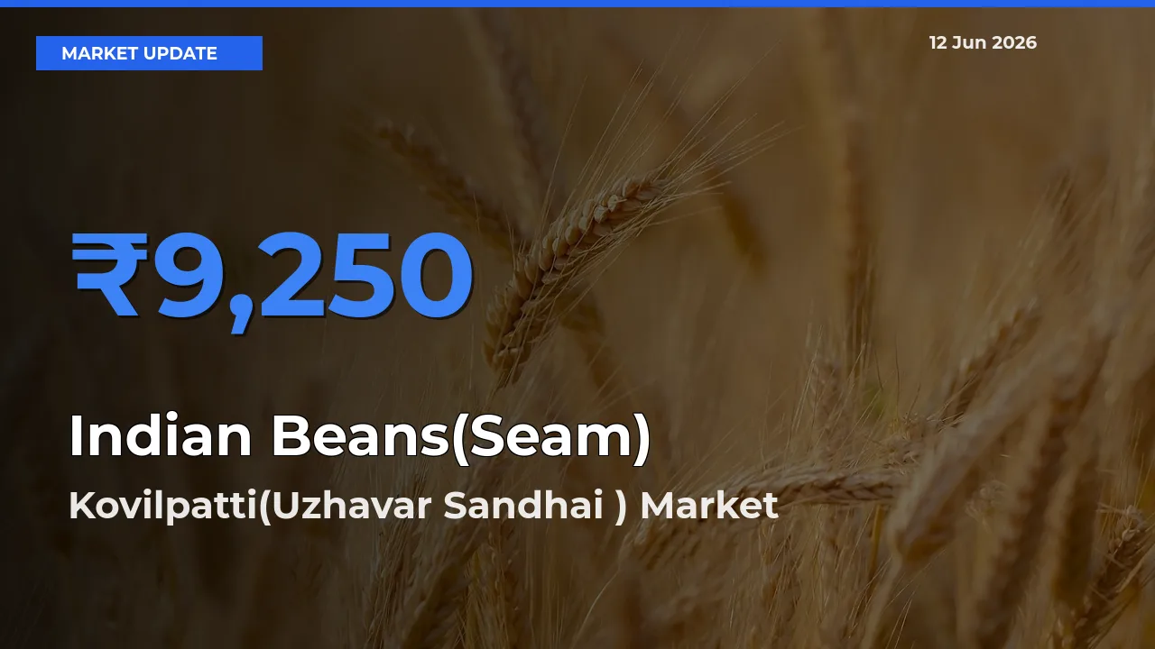 Farmers Prefer Kovilpatti(Uzhavar Sandhai ) as Indian Beans(Seam) Hits Highest Rate