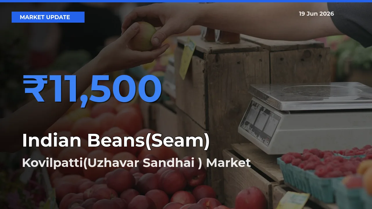 Indian Beans(Seam) Mandi Rate Today: Kovilpatti(Uzhavar Sandhai ) Tops the List