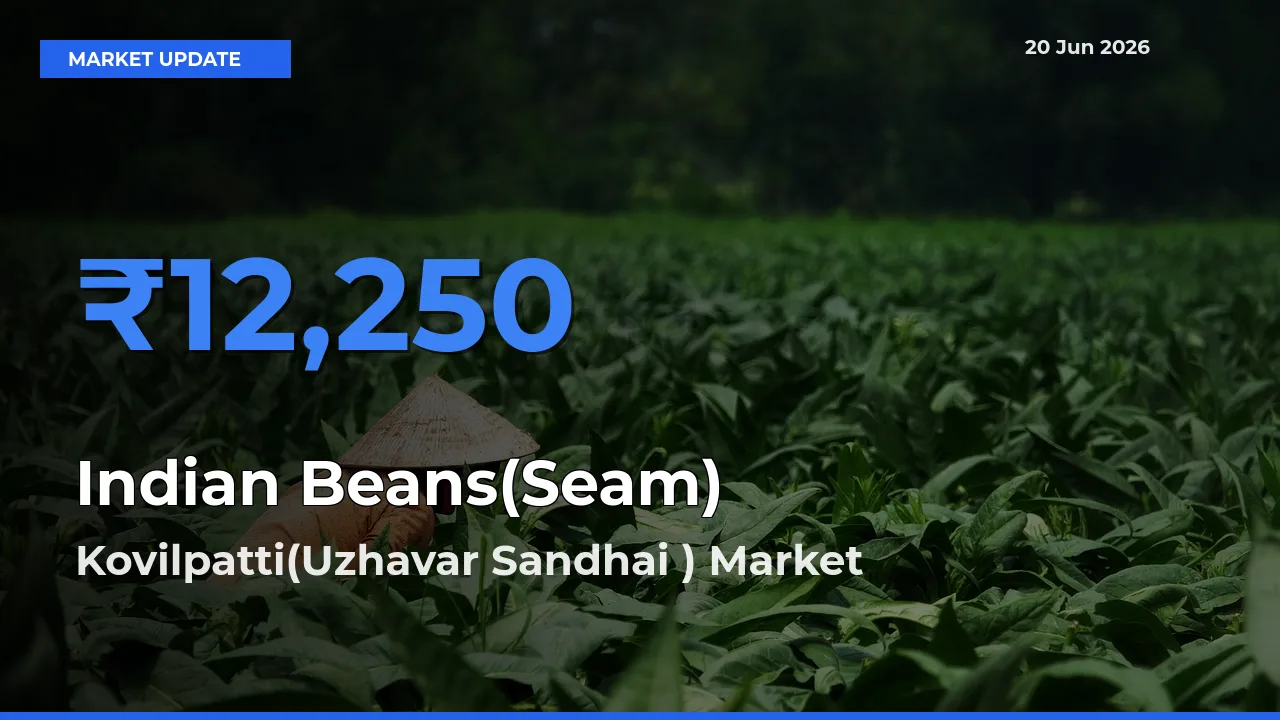 Kovilpatti(Uzhavar Sandhai ) Emerges as Top Mandi for Indian Beans(Seam) Prices Today