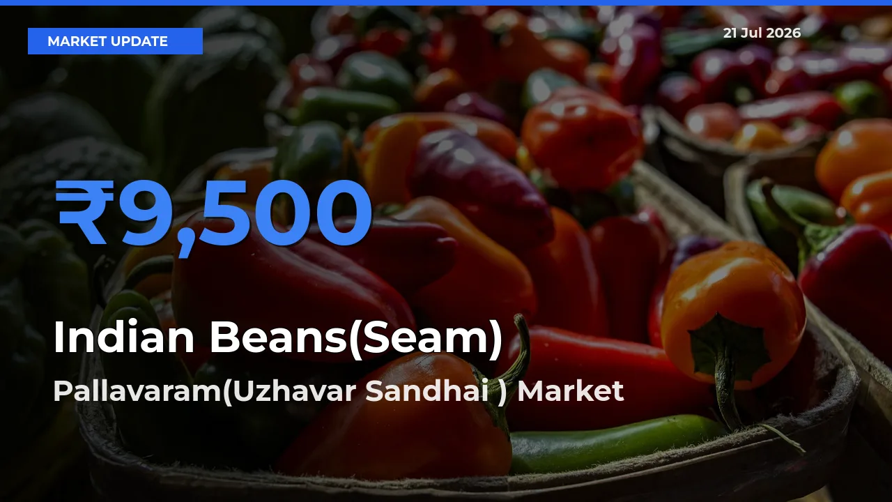 Indian Beans(Seam) Mandi Rate Today: Pallavaram(Uzhavar Sandhai ) Tops the List