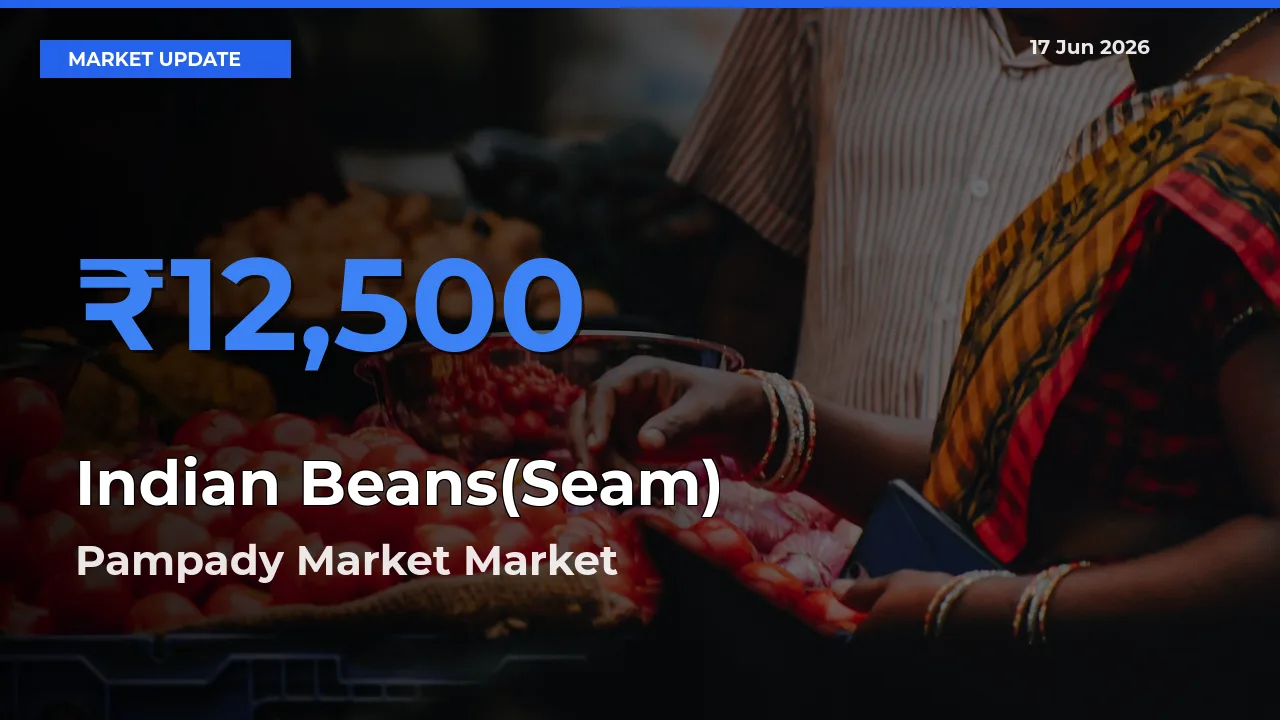 Market Watch: Pampady Market Becomes Top Mandi for Indian Beans(Seam)
