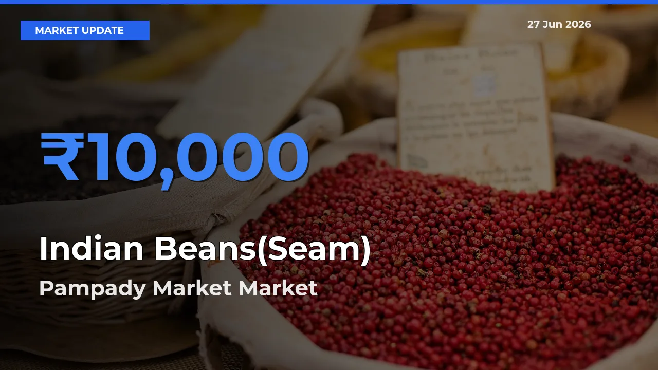 Pampady Market Leads as Top Mandi for Indian Beans(Seam) Prices