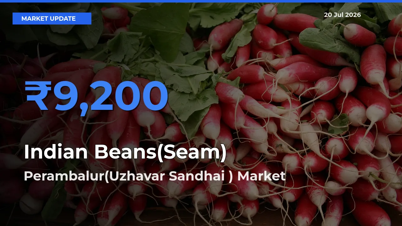 Farmers Prefer Perambalur(Uzhavar Sandhai ) as Indian Beans(Seam) Hits Highest Rate