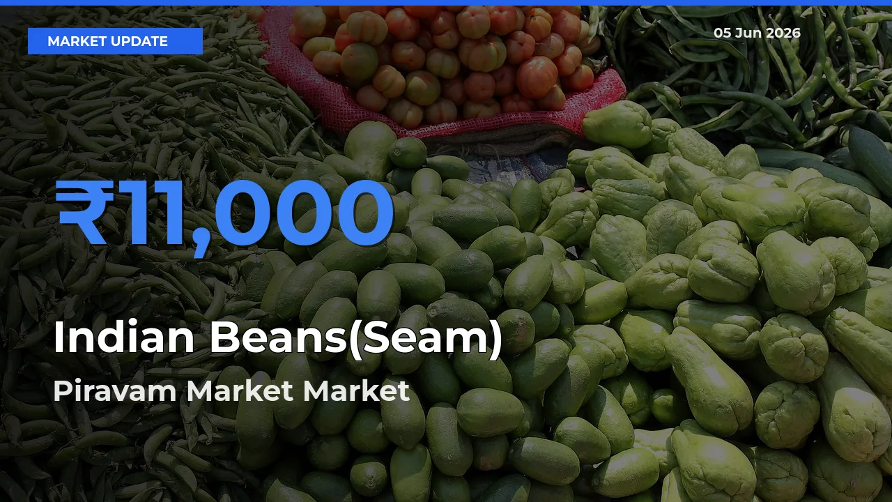 Indian Beans(Seam) Mandi Rate Today: Piravam Market Tops the List