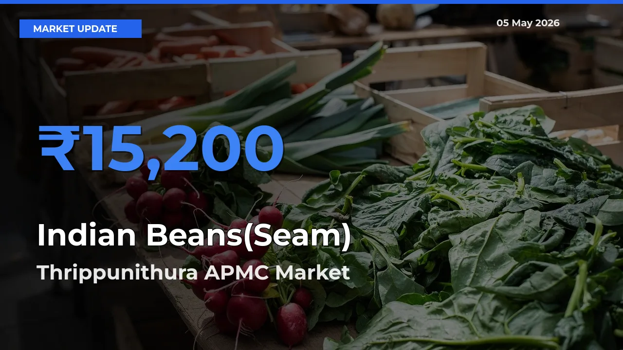 Indian Beans(Seam) Mandi Rate Today: Thrippunithura APMC Tops the List