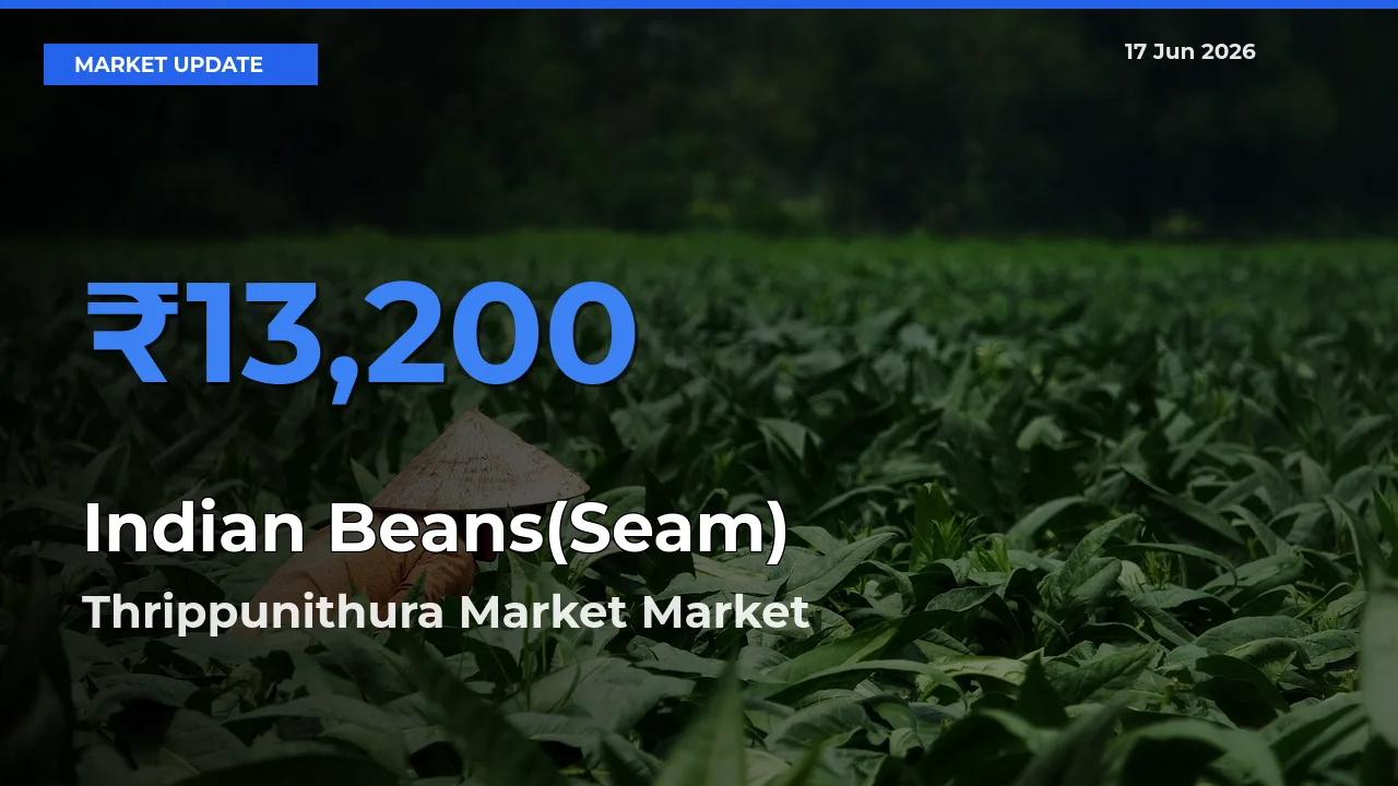 Thrippunithura Market Tops Indian Beans(Seam) Rates – June 17 Market Update