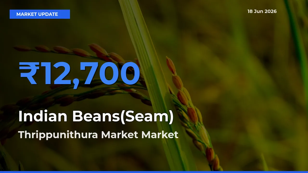 Thrippunithura Market Tops Indian Beans(Seam) Mandi Rates Today