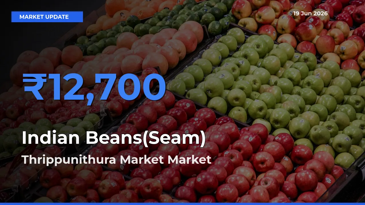 Thrippunithura Market Leads as Top Mandi for Indian Beans(Seam) Prices